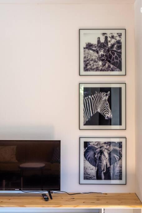Duplex Contemporain Dans Maison Du Xviieme Siecle Apartment